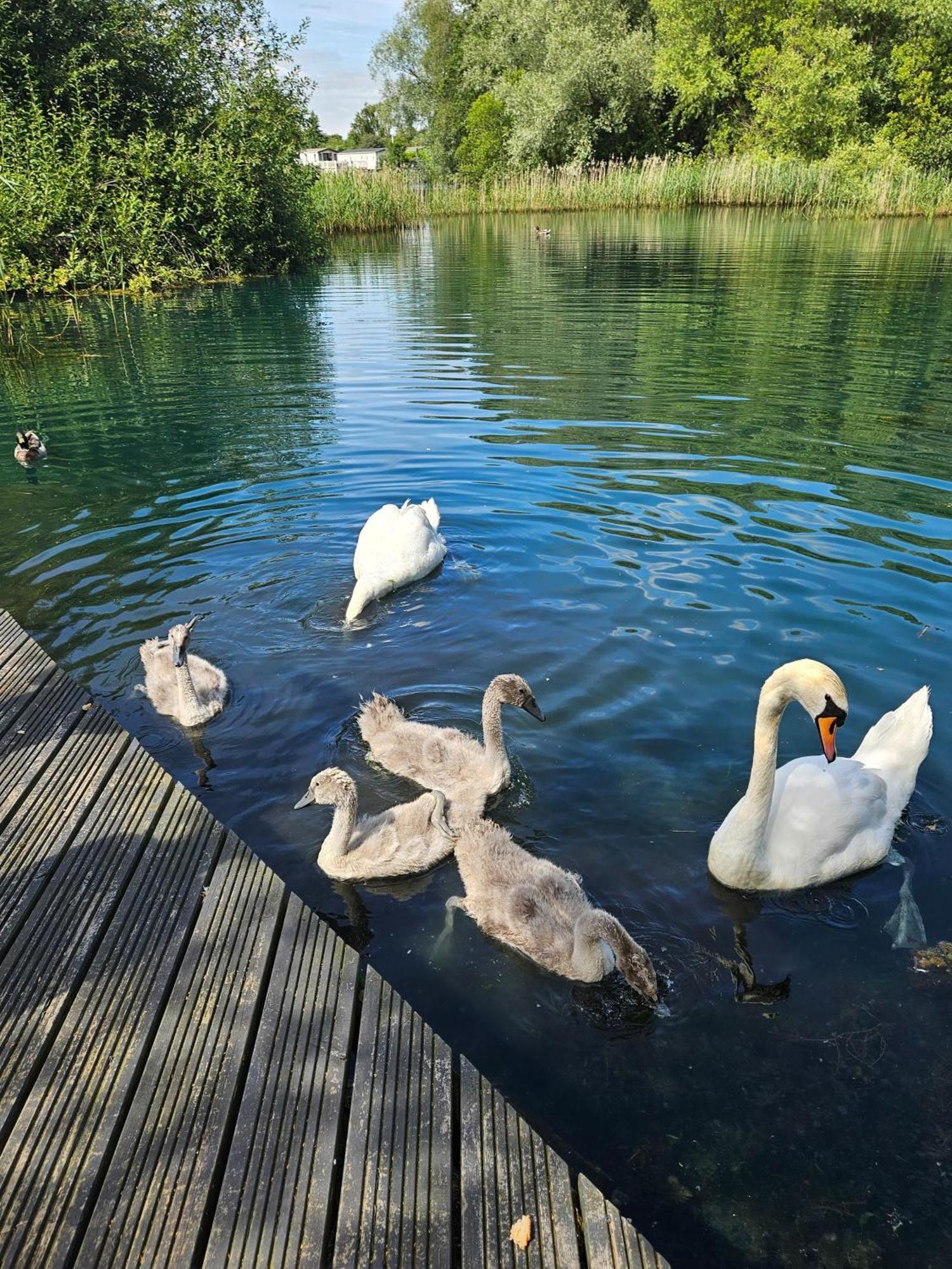 Luxury Lakeside Caravan With Hottub And Private Fishing Peg, Tattershall Lakes Exterior photo